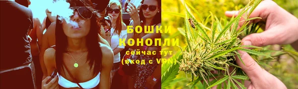 гидра Баксан