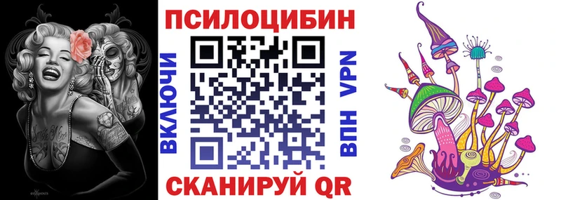 гидра как войти  Усть-Джегута  Псилоцибиновые грибы Psilocybe  наркота 